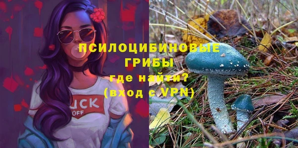 молекула духа Дегтярск