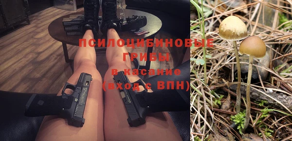 spice Коряжма