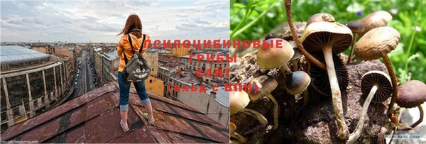 мдма Киренск