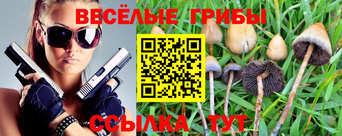 Псилоцибиновые грибы Cubensis Касимов