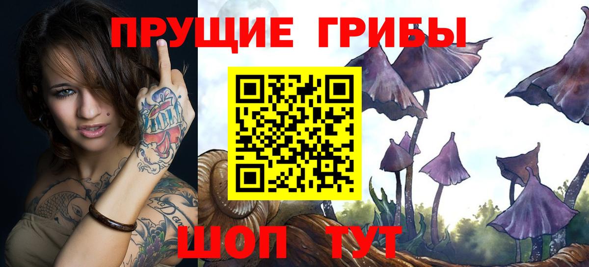 Галлюциногенные грибы мицелий  Вход с VPN  Псилоцибиновые грибы MAGIC MUSHROOMS  Касимов 